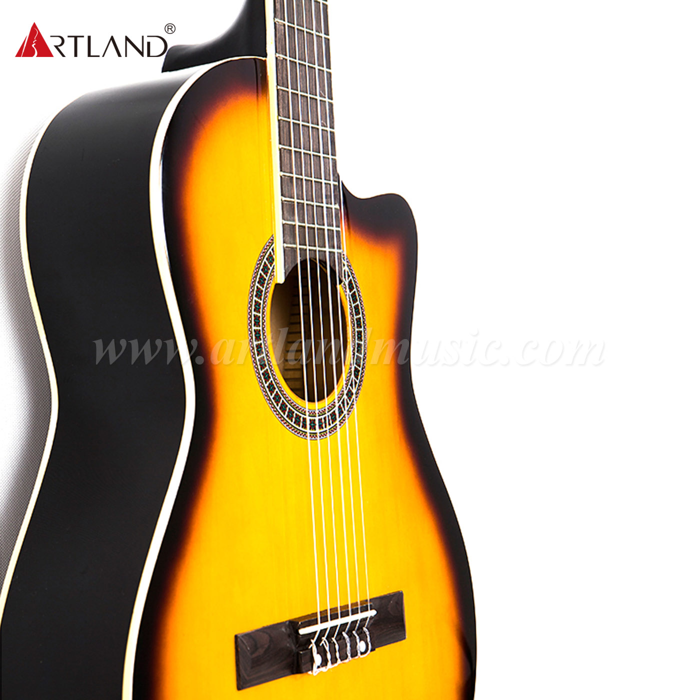 Sunburst Cutaway Body Classic Guitar (CG960)
