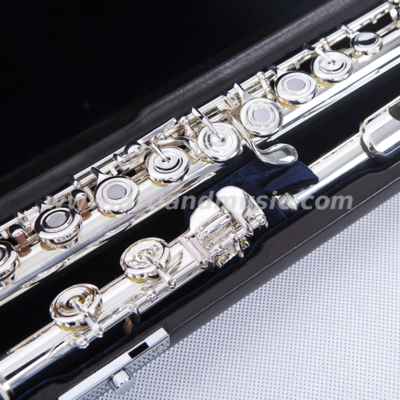 16 Open Holes Solid Silver Lip Plate Flute(ALFL456)