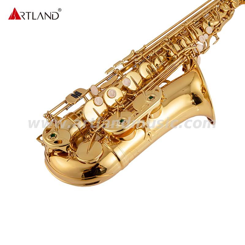 Gold Lacquer Saxophone For Beginner(AAS3505G)