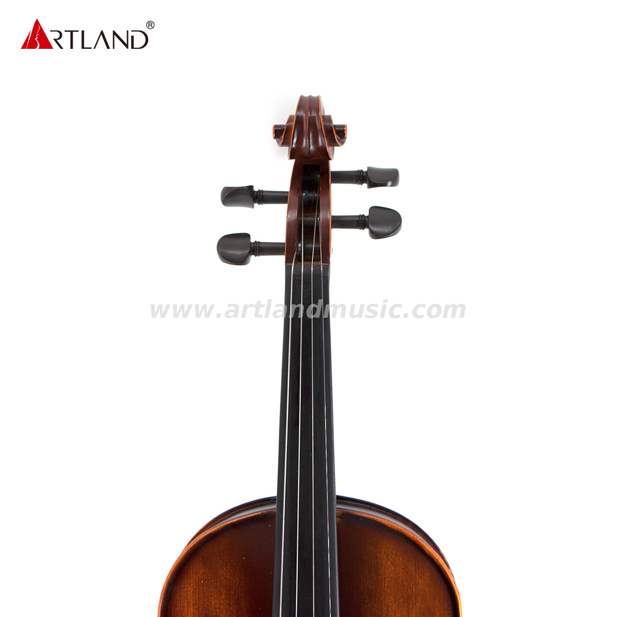 Handcraft Professional Solid Wood Violin Outfit With Ebnoy Fitting (GV105)