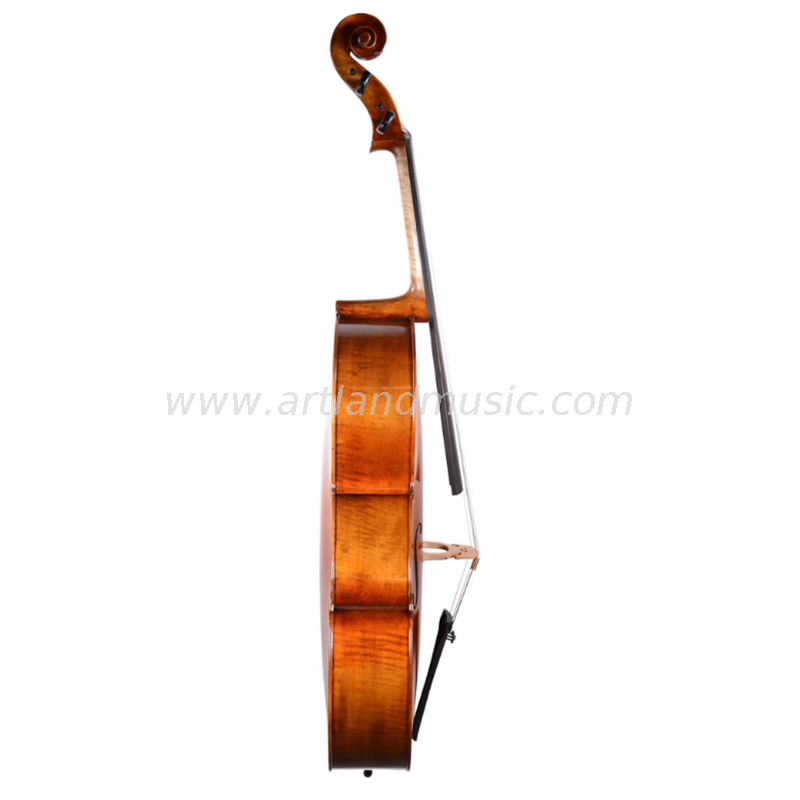 Advanced Cello, Antique Varnish Popular-ACA300