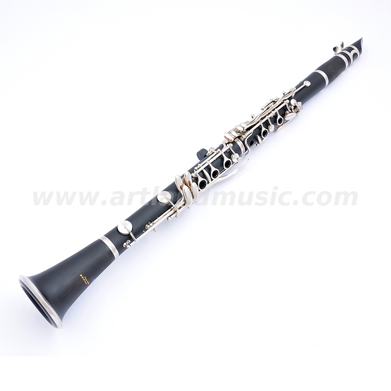 Professional Bb Ebonite Pipe Alto Clarinet (ACL5506)