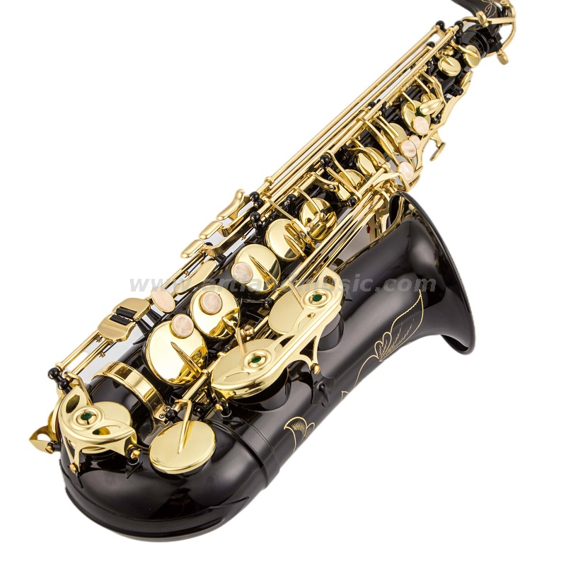 Eb Alto Saxophone Gold Lacquer Key BLACK Body (AAS5505CB)