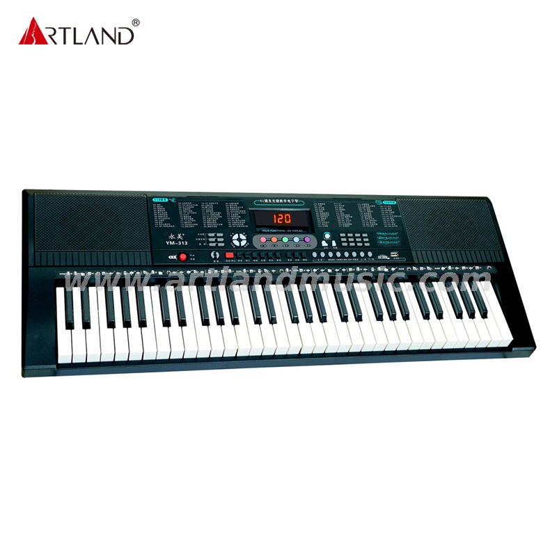 61 Piano-Styled Keys Lighted Keyboard YM-313
