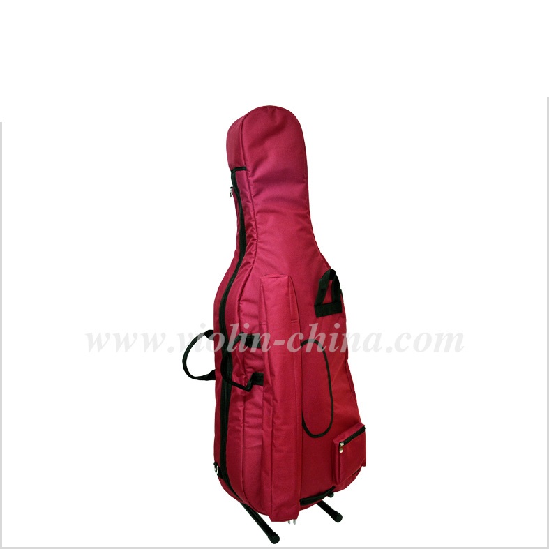 Colorful Cello Bag (BGC203)