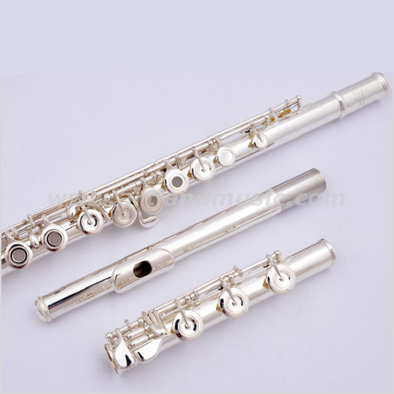 17 Open Holes Silver Plated Imported Cupronickel Professional Flute (AFL7507)