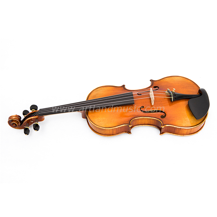 One Piece Back Hand Made Violin (AVA100S)