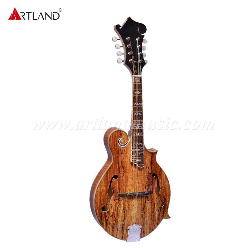 Spalted Maple Top Mandolin (AM-NF60)