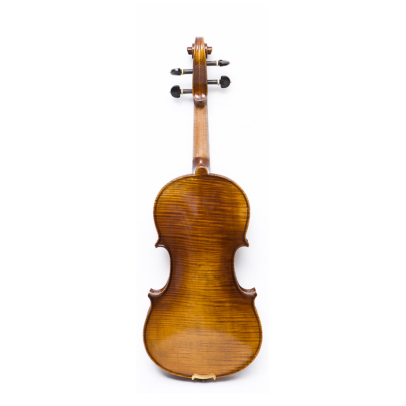 Left hand One Piece Back Hand Made Violin (AVA100SL)