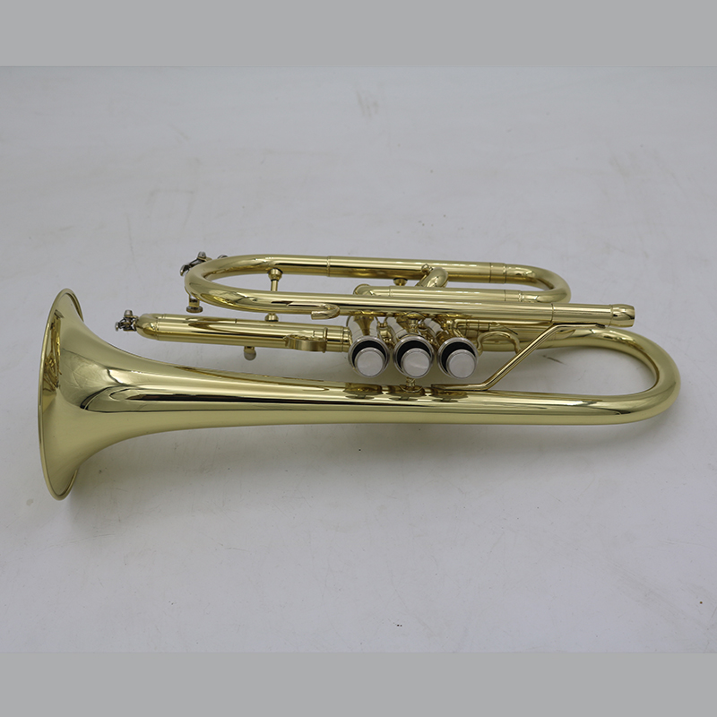 Cornet Gold Lacquer Entry Model Key of Bb （ATCO-8356）