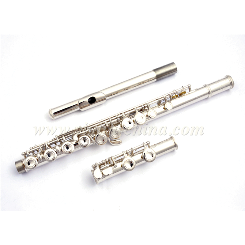 16 Closed Holes Silver Plated Standard Flute (AFL5506)