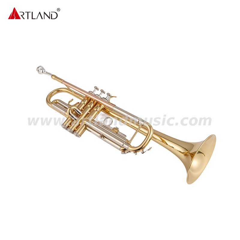Student Trumpet With Rose Brass Lead Pipe(ATR3506D)