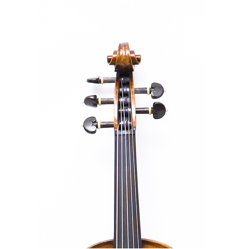 5 strings Violin with one piece maple back (AVA1005S)