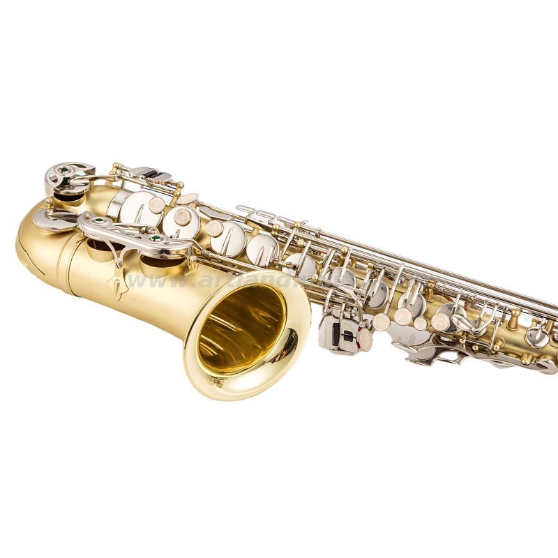Eb Alto Saxophone Matt Gold Lacquer Hand Engraved Body with Nickel Key(AAS5505GN)