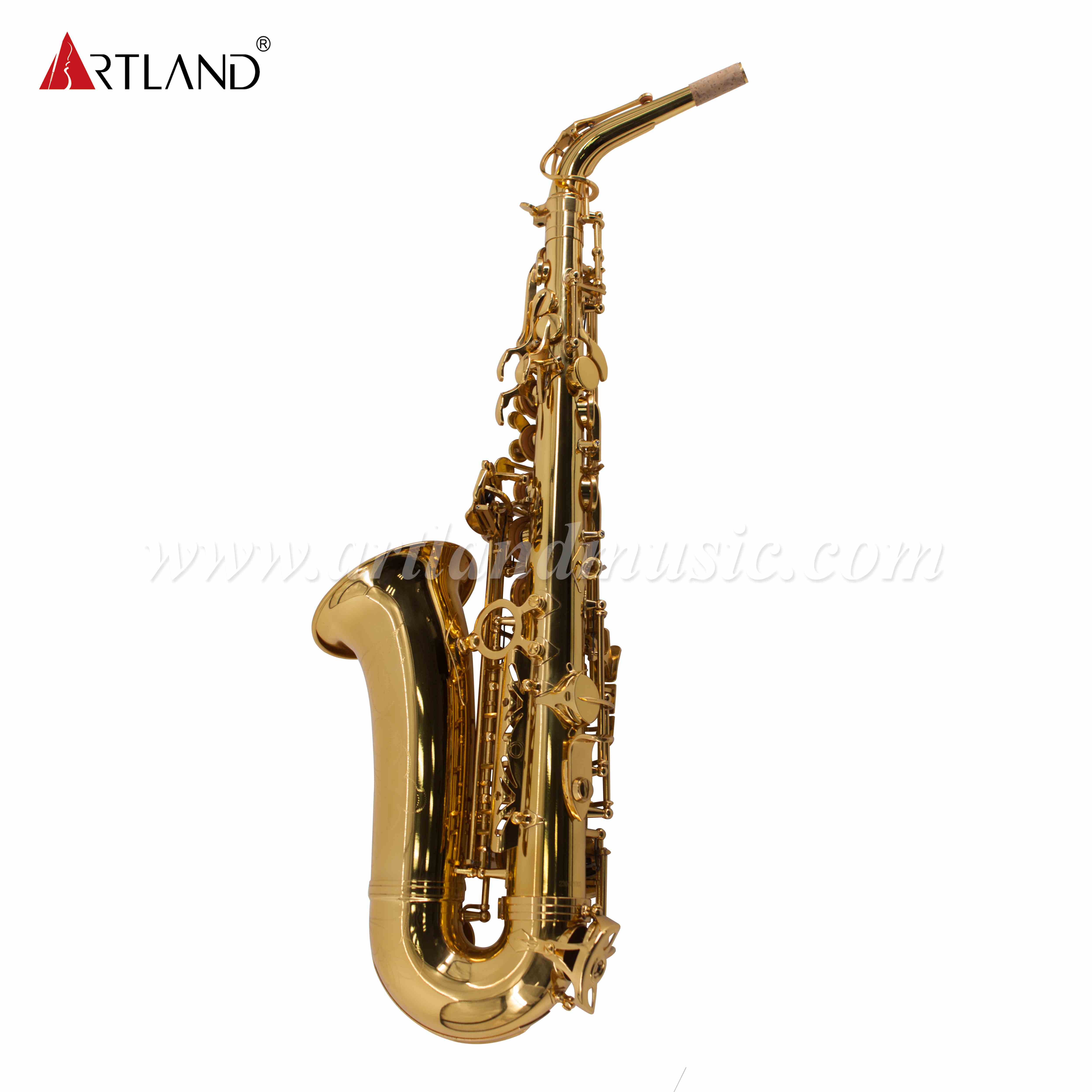 Gold Lacquer Eb Alto Saxophone (AAS6503)