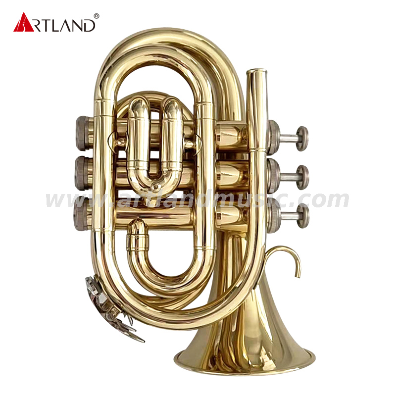Gold Lacquer Pocket Trumpets Entry Model Key of Bb （AHD3505G）