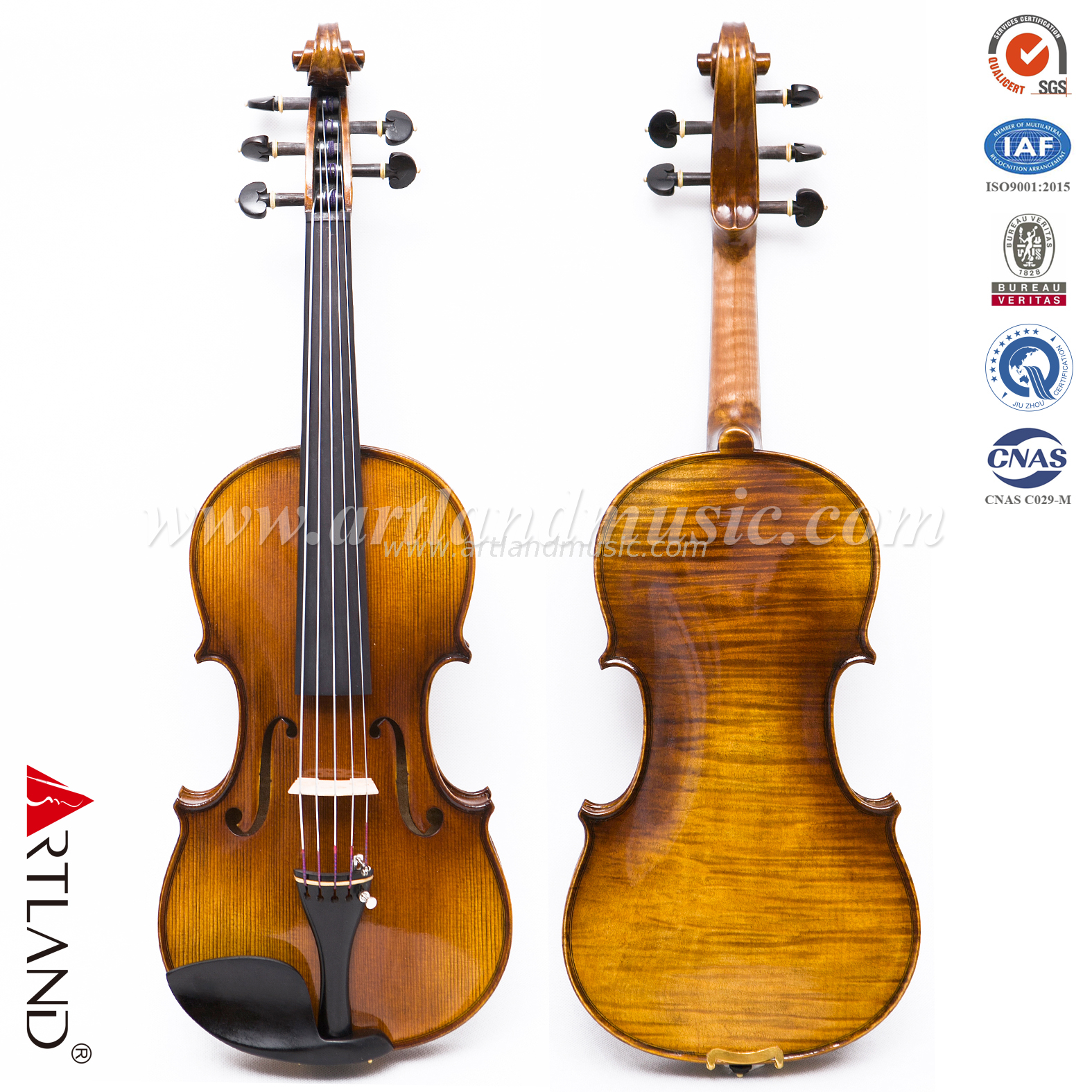 5 strings Violin with one piece maple back (AVA1005S)