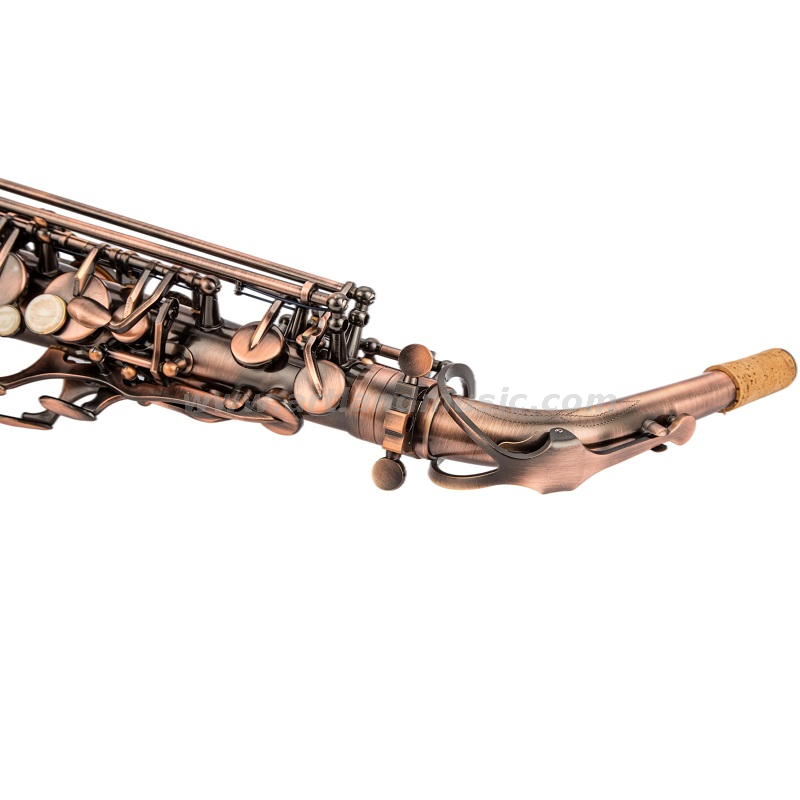 Eb Alto Saxophone Antique Finish Red Bronze, Light Carbon Saxophone Case (AAS5507AG)