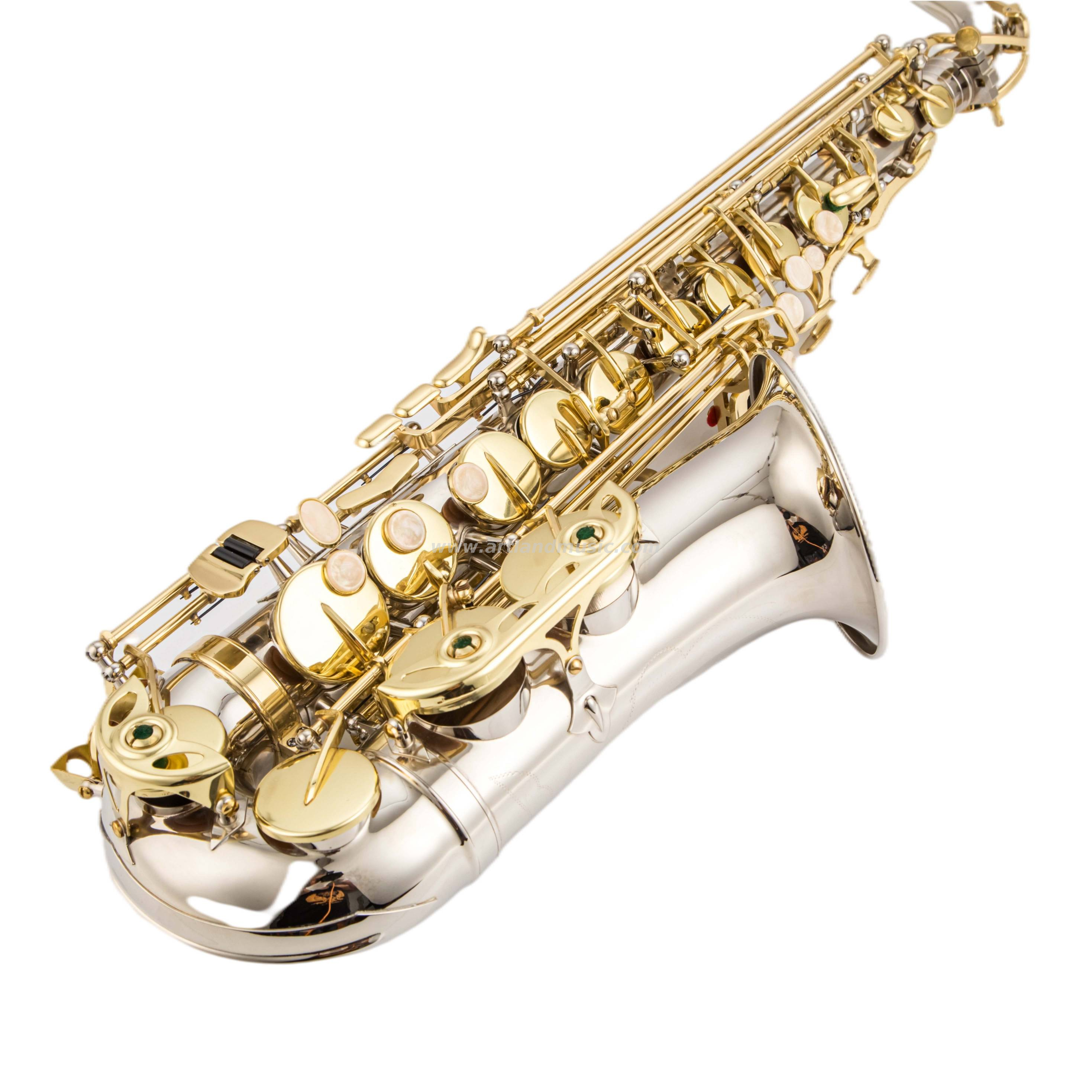 Nickel Finished Alto Saxophone With Gold Key( AAS5505NL)