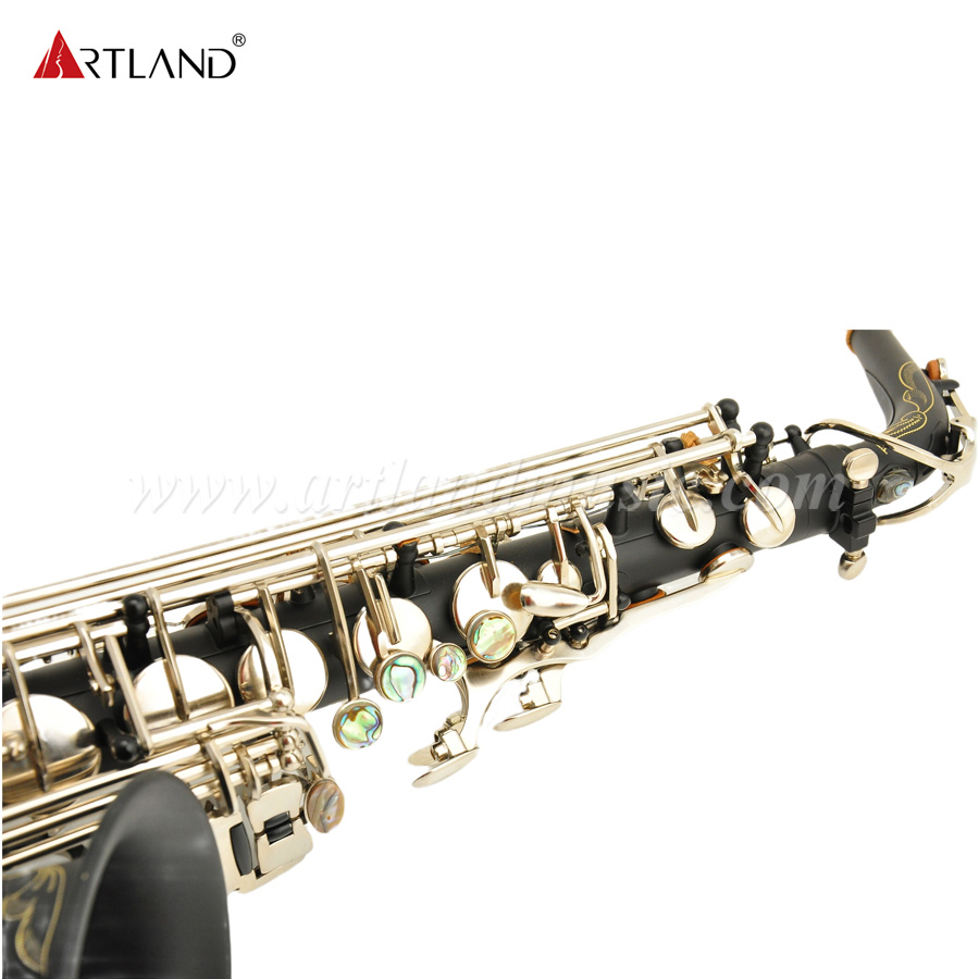 Eb Alto Saxophone Black Matt With Nickel Key (AAS6508)