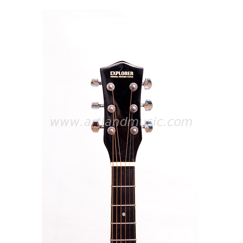 Linden Top Back&Side Acoustic Guitar (AG4110)